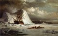 Icebound Schiff Stiefel Seestück William Bradford